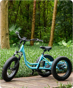 Addmotor Landtan E-Trike