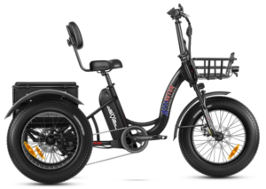 Addmotor Tritan E-Trike